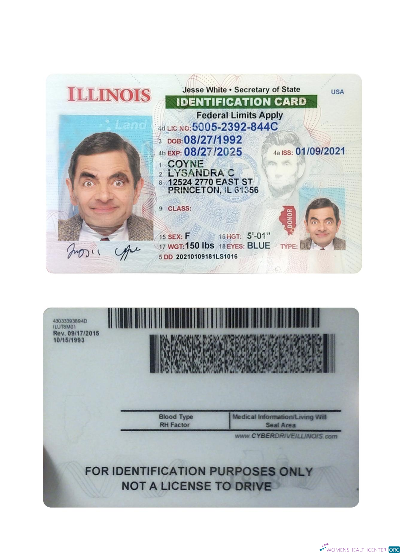 Download USA Illinois ID card Photoshop template